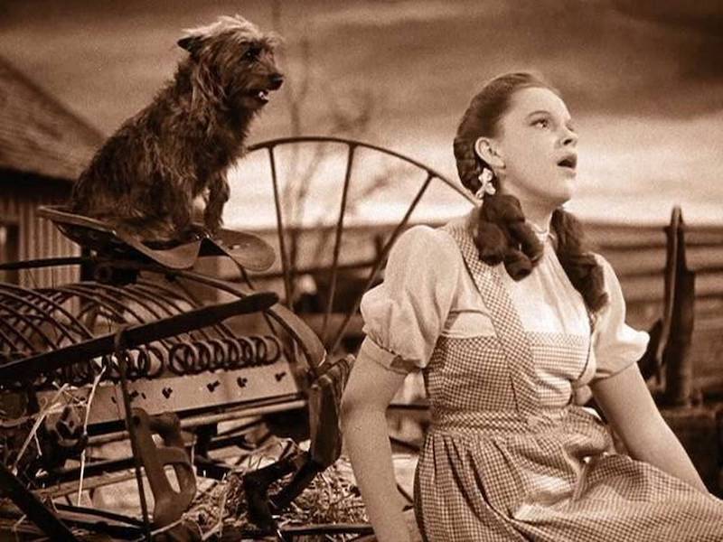 Not in Kansas anymore